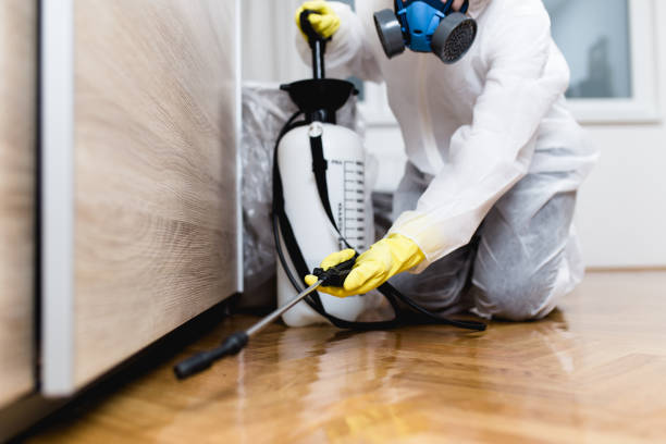 Best Termite Control Services  in East Stroudsburg, PA