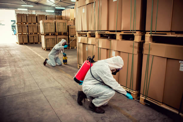 Best Best Pest Control Companies  in East Stroudsburg, PA