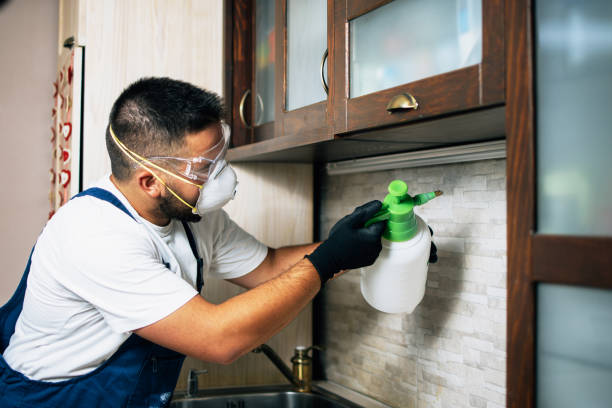 Best Best Pest Control Companies  in East Stroudsburg, PA