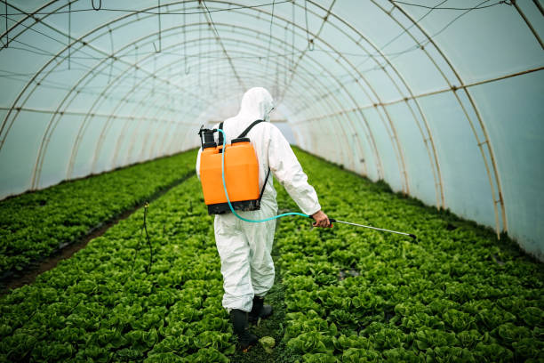 Best Pest Control Near Me  in East Stroudsburg, PA