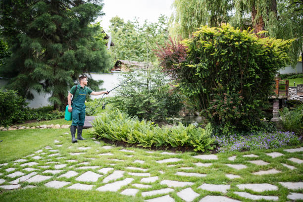 Best Pest Prevention Services  in East Stroudsburg, PA