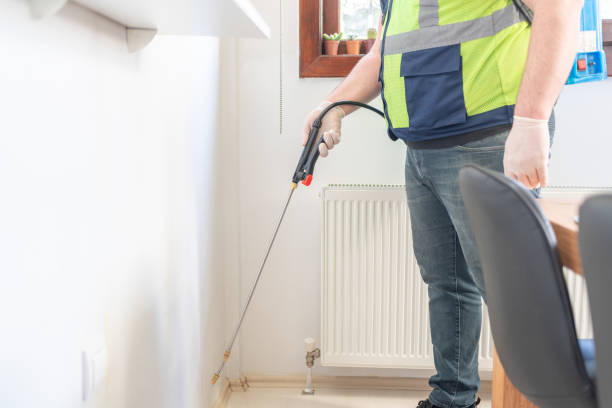 Best Pest Control Near Me  in East Stroudsburg, PA
