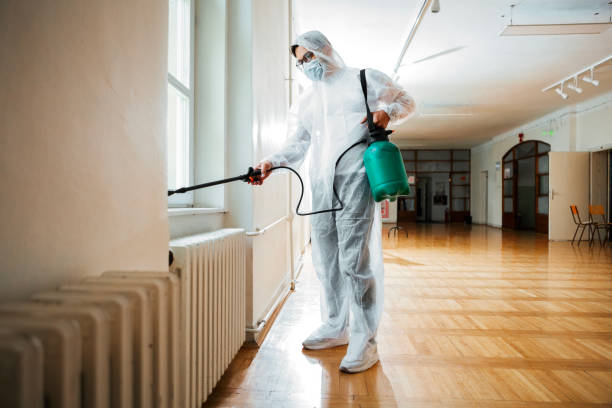 Flea Control Services in East Stroudsburg, PA
