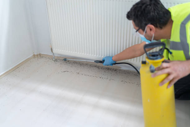 Best Residential Pest Control  in East Stroudsburg, PA