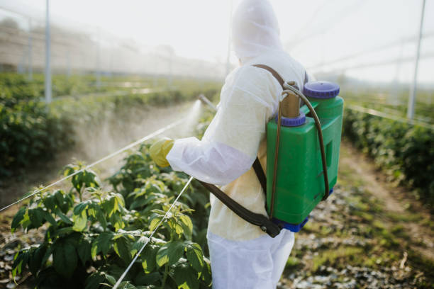 Best Pest Prevention Services  in East Stroudsburg, PA